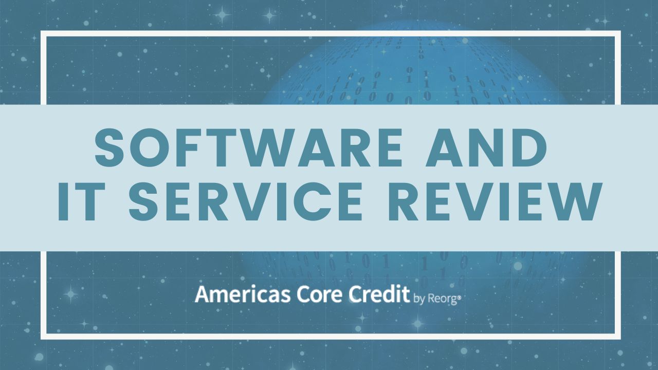 Software and IT Service Review Industrywide Slowdown in TopLine